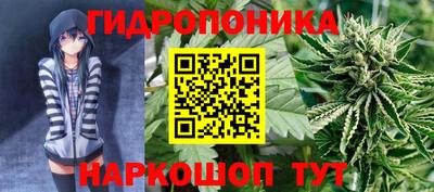 мескалин Камышлов